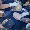 TrueClot Chest Seal Application Trainer